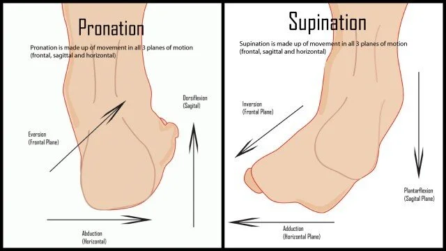 Ankle pronation sales and supination